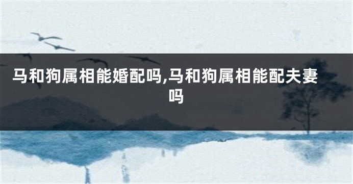 马和狗属相能婚配吗,马和狗属相能配夫妻吗