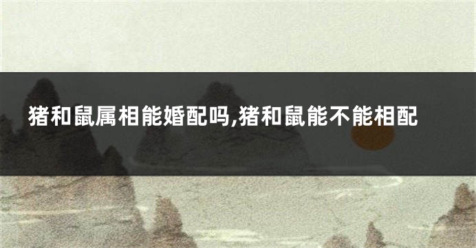 猪和鼠属相能婚配吗,猪和鼠能不能相配
