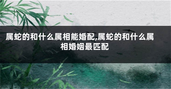 属蛇的和什么属相能婚配,属蛇的和什么属相婚姻最匹配