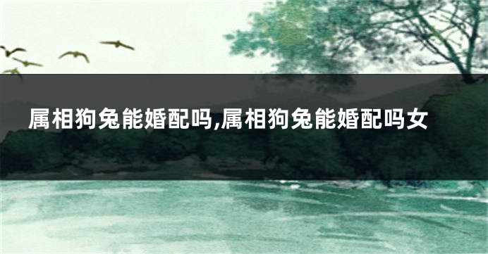 属相狗兔能婚配吗,属相狗兔能婚配吗女