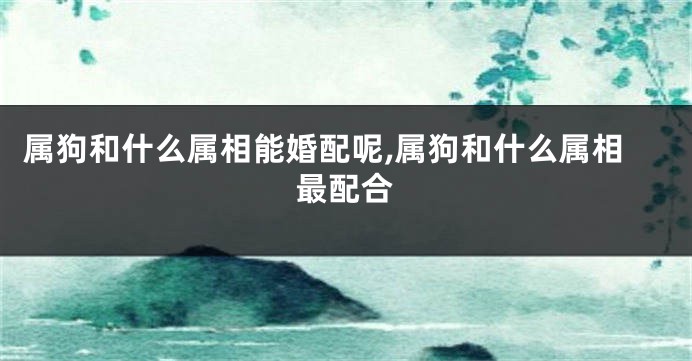 属狗和什么属相能婚配呢,属狗和什么属相最配合