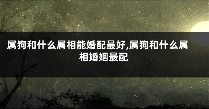属狗和什么属相能婚配最好,属狗和什么属相婚姻最配