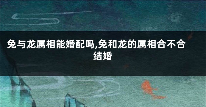 兔与龙属相能婚配吗,兔和龙的属相合不合结婚