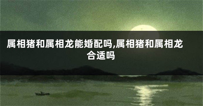 属相猪和属相龙能婚配吗,属相猪和属相龙合适吗