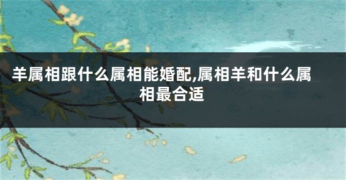 羊属相跟什么属相能婚配,属相羊和什么属相最合适