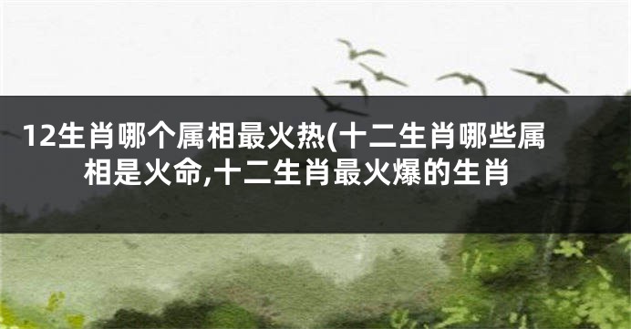 12生肖哪个属相最火热(十二生肖哪些属相是火命,十二生肖最火爆的生肖