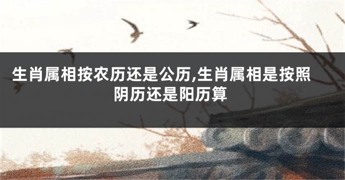 生肖属相按农历还是公历,生肖属相是按照阴历还是阳历算