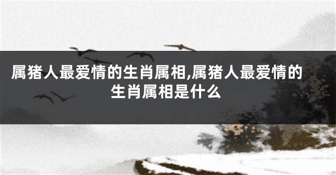 属猪人最爱情的生肖属相,属猪人最爱情的生肖属相是什么
