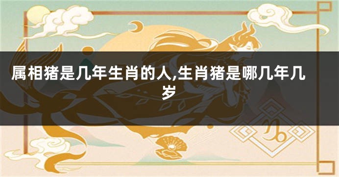 属相猪是几年生肖的人,生肖猪是哪几年几岁