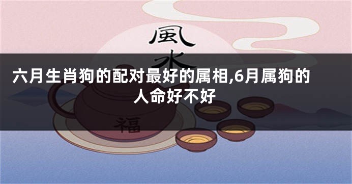六月生肖狗的配对最好的属相,6月属狗的人命好不好
