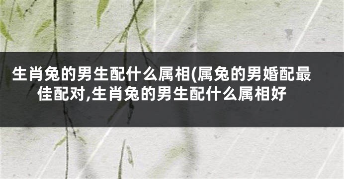生肖兔的男生配什么属相(属兔的男婚配最佳配对,生肖兔的男生配什么属相好