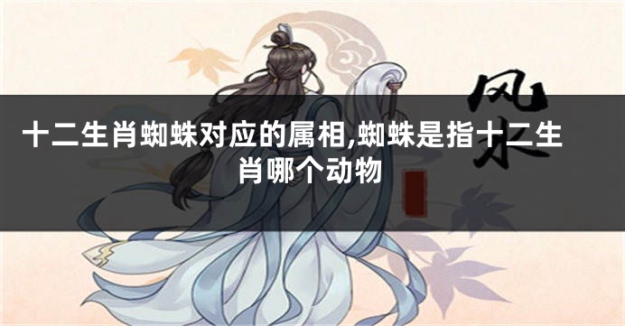十二生肖蜘蛛对应的属相,蜘蛛是指十二生肖哪个动物