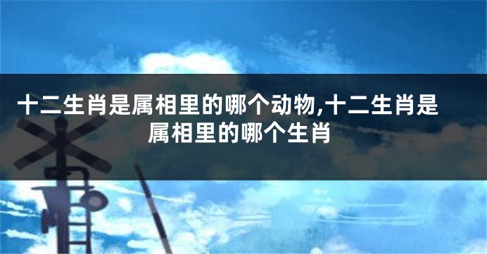 十二生肖是属相里的哪个动物,十二生肖是属相里的哪个生肖