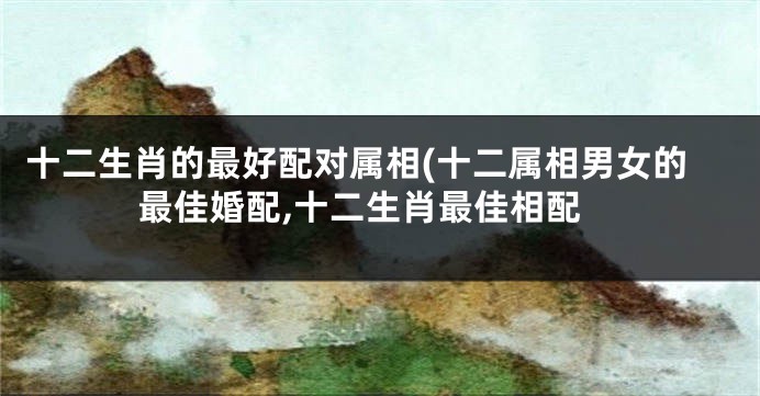 十二生肖的最好配对属相(十二属相男女的最佳婚配,十二生肖最佳相配