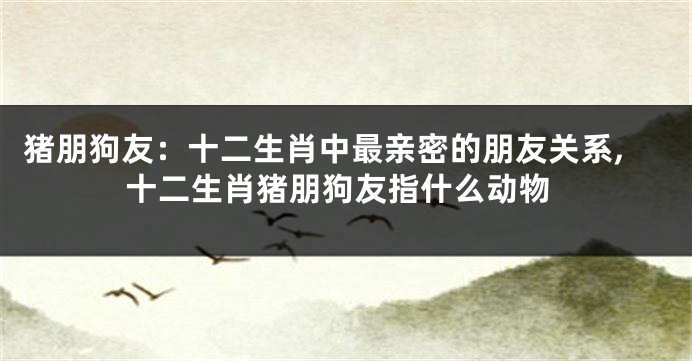 猪朋狗友：十二生肖中最亲密的朋友关系,十二生肖猪朋狗友指什么动物