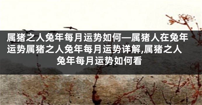 属猪之人兔年每月运势如何—属猪人在兔年运势属猪之人兔年每月运势详解,属猪之人兔年每月运势如何看