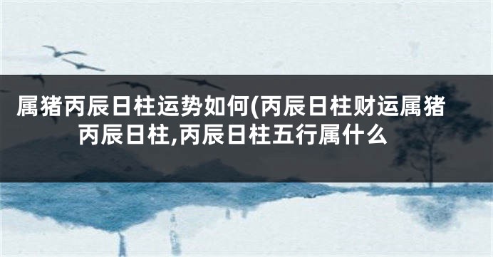 属猪丙辰日柱运势如何(丙辰日柱财运属猪丙辰日柱,丙辰日柱五行属什么
