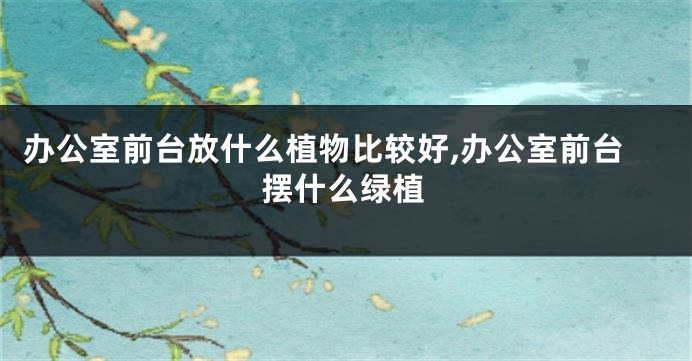 办公室前台放什么植物比较好,办公室前台摆什么绿植