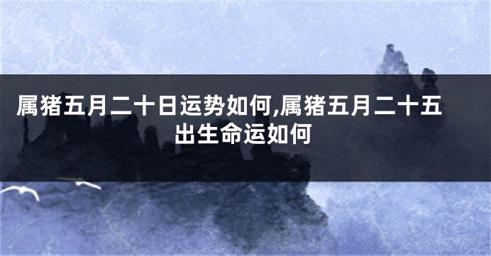 属猪五月二十日运势如何,属猪五月二十五出生命运如何