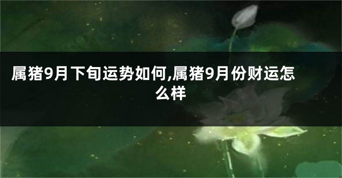 属猪9月下旬运势如何,属猪9月份财运怎么样