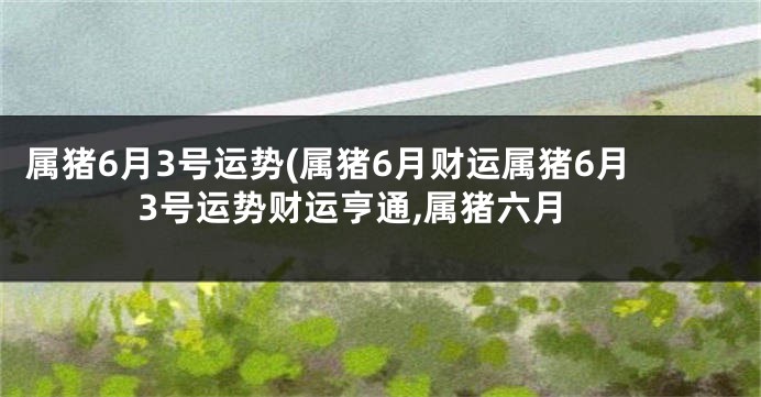 属猪6月3号运势(属猪6月财运属猪6月3号运势财运亨通,属猪六月
