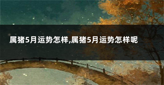 属猪5月运势怎样,属猪5月运势怎样呢