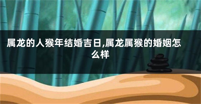 属龙的人猴年结婚吉日,属龙属猴的婚姻怎么样