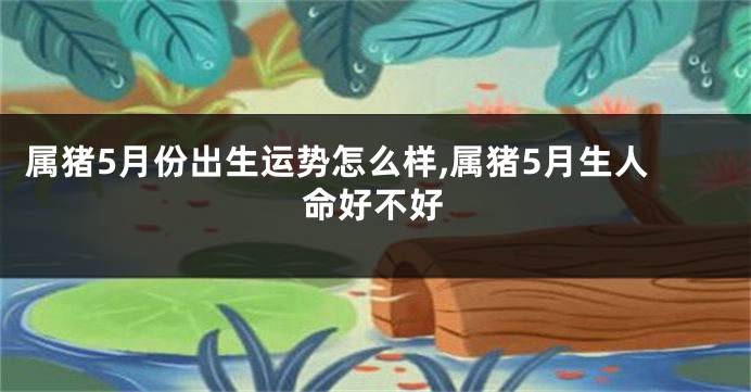 属猪5月份出生运势怎么样,属猪5月生人命好不好