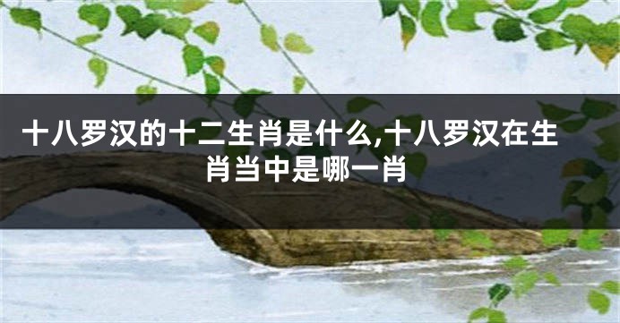 十八罗汉的十二生肖是什么,十八罗汉在生肖当中是哪一肖