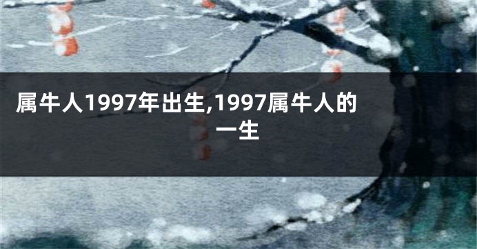 属牛人1997年出生,1997属牛人的一生