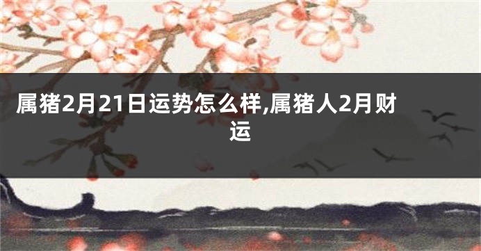 属猪2月21日运势怎么样,属猪人2月财运