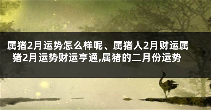 属猪2月运势怎么样呢、属猪人2月财运属猪2月运势财运亨通,属猪的二月份运势
