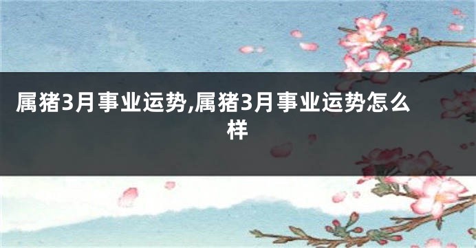 属猪3月事业运势,属猪3月事业运势怎么样