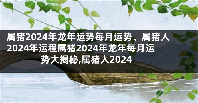 属猪2024年龙年运势每月运势、属猪人2024年运程属猪2024年龙年每月运势大揭秘,属猪人2024