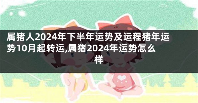 属猪人2024年下半年运势及运程猪年运势10月起转运,属猪2024年运势怎么样