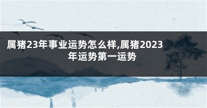 属猪23年事业运势怎么样,属猪2023年运势第一运势