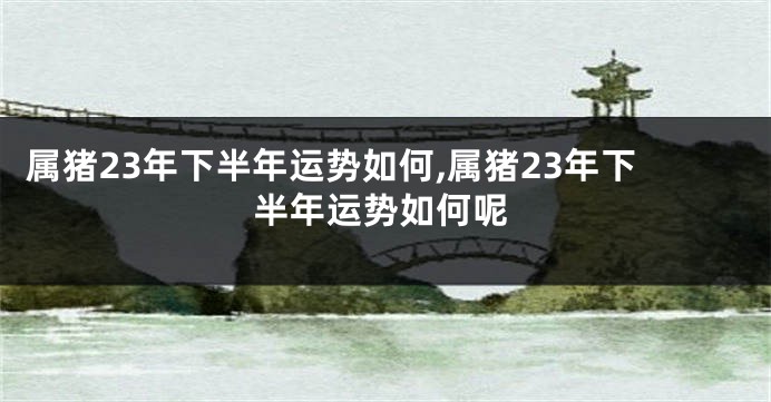 属猪23年下半年运势如何,属猪23年下半年运势如何呢