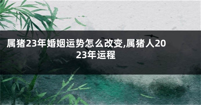 属猪23年婚姻运势怎么改变,属猪人2023年运程