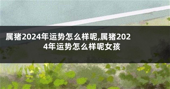 属猪2024年运势怎么样呢,属猪2024年运势怎么样呢女孩