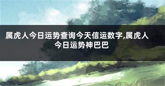 属虎人今日运势查询今天信运数字,属虎人今日运势神巴巴