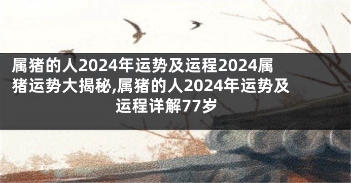 属猪的人2024年运势及运程2024属猪运势大揭秘,属猪的人2024年运势及运程详解77岁