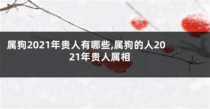 属狗2021年贵人有哪些,属狗的人2021年贵人属相