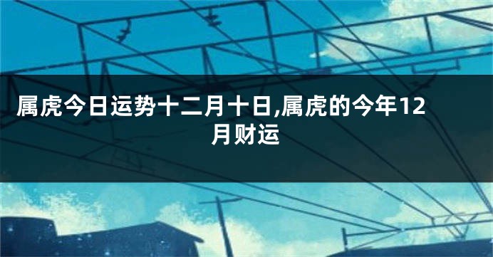 属虎今日运势十二月十日,属虎的今年12月财运