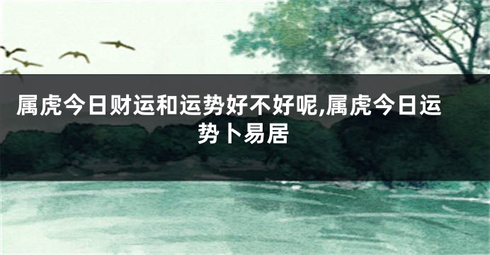 属虎今日财运和运势好不好呢,属虎今日运势卜易居