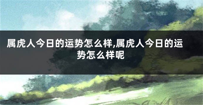 属虎人今日的运势怎么样,属虎人今日的运势怎么样呢