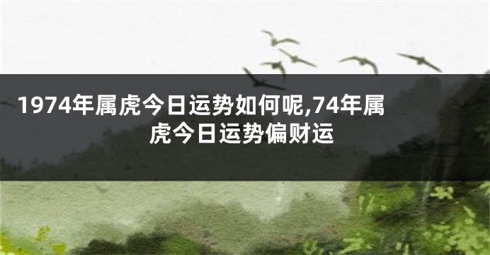 1974年属虎今日运势如何呢,74年属虎今日运势偏财运