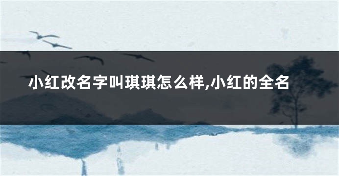 小红改名字叫琪琪怎么样,小红的全名