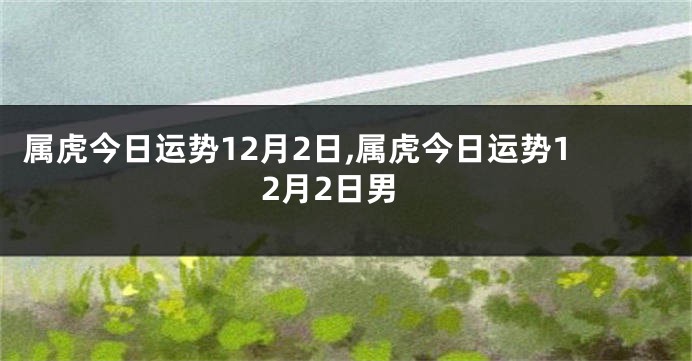 属虎今日运势12月2日,属虎今日运势12月2日男