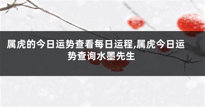 属虎的今日运势查看每日运程,属虎今日运势查询水墨先生