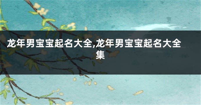 龙年男宝宝起名大全,龙年男宝宝起名大全集